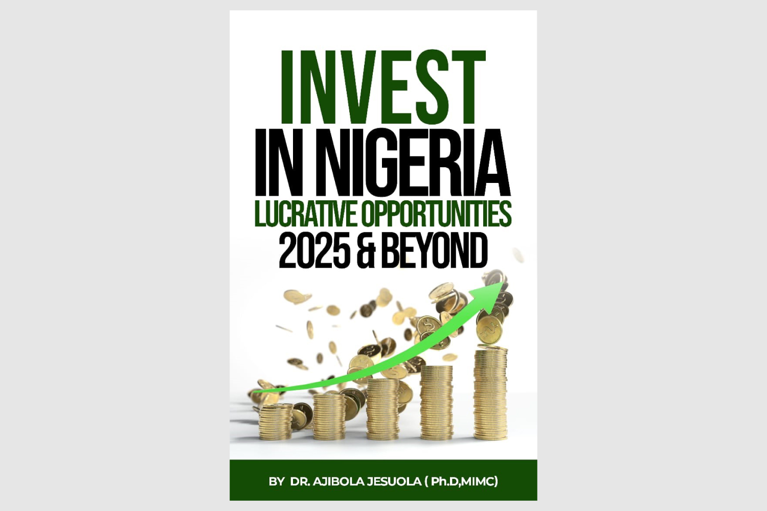 Diaspora Goldmine: This New Book is Changing How the World Sees Investing in Nigeria